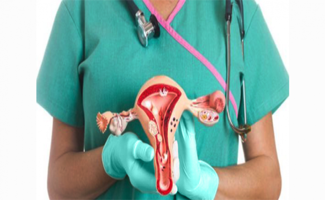 جمعية تنظيم وحماية الأسرة الفلسطينية جمعية تنظيم وحماية الأسرة الفلسطينية